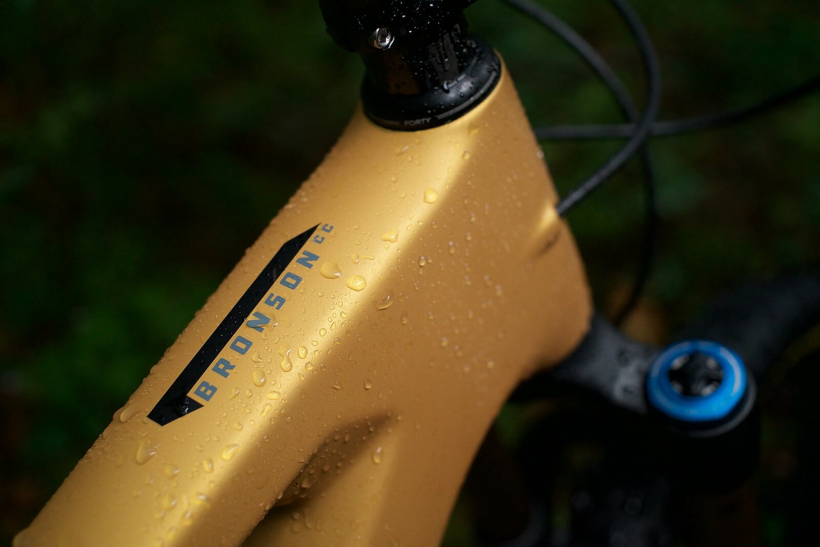 Bike Review | Santa Cruz Bronson X01 AXS Carbon CC MX | Freehub